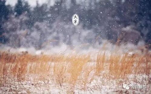 《大寒》全集在线观看,穿越时空的温情岁月